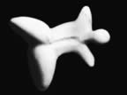 Immagine 82.jpg (9kb)